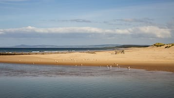 Vlak bij het strand