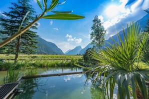 Alberca al aire libre por temporada 