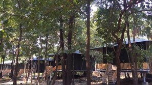 A campsite with multiple tree-supported structures, likely for accommodation or storage.