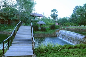 Jardines del alojamiento