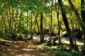 Zona boscosa con un río, un puente y un sendero de tierra.