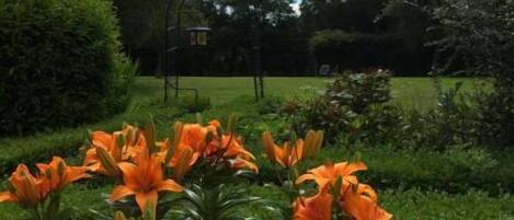 Jardin