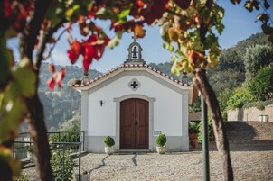 Diseño del edificio