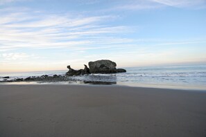 Sort sand, strandtransport