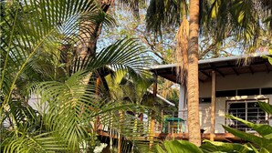 Un exuberante jardín con diversas plantas tropicales y un edificio blanco de grandes ventanales.