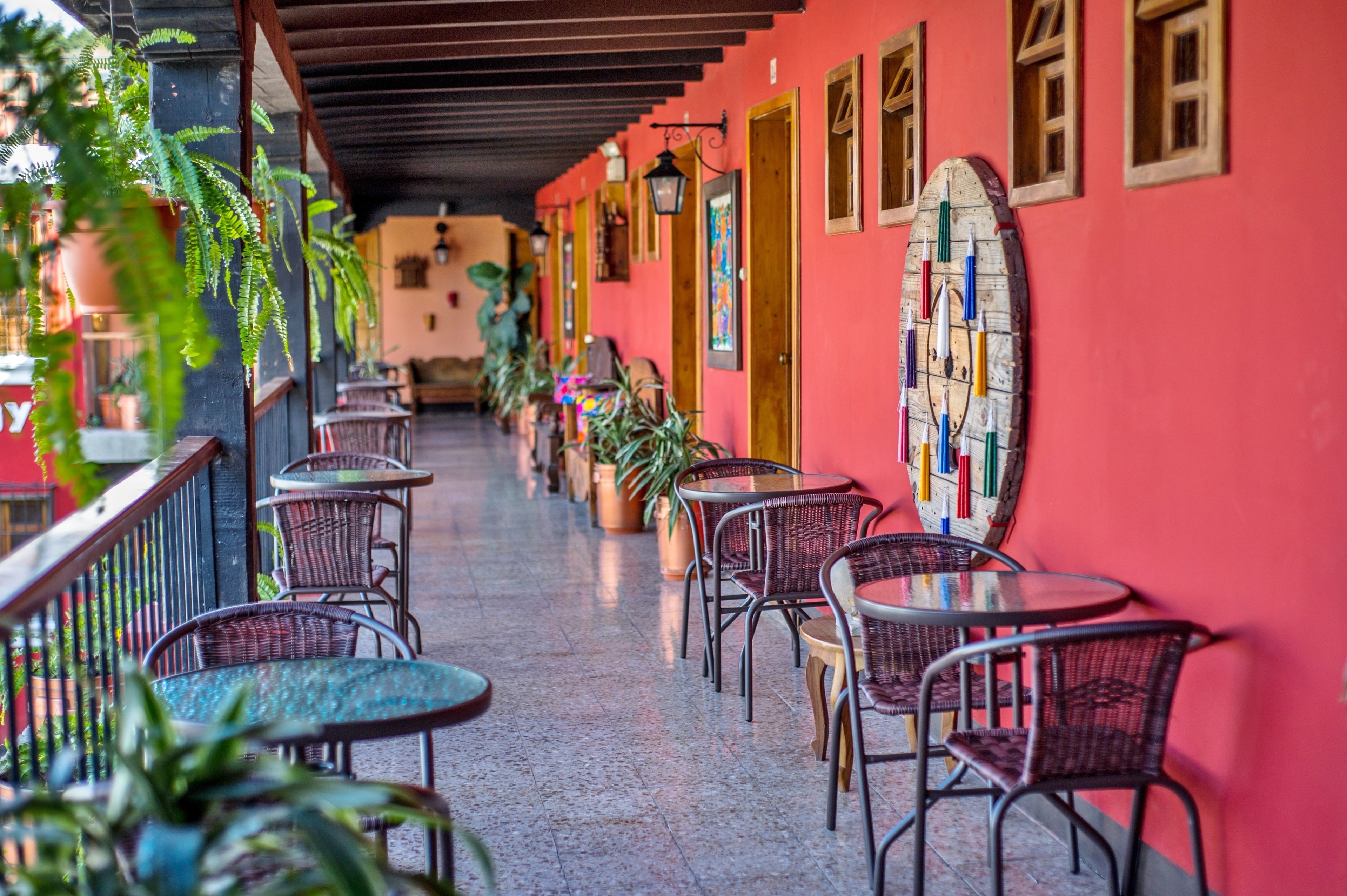 A corridor with tables and chairs, potted plants, and a red wall with framed pictures.