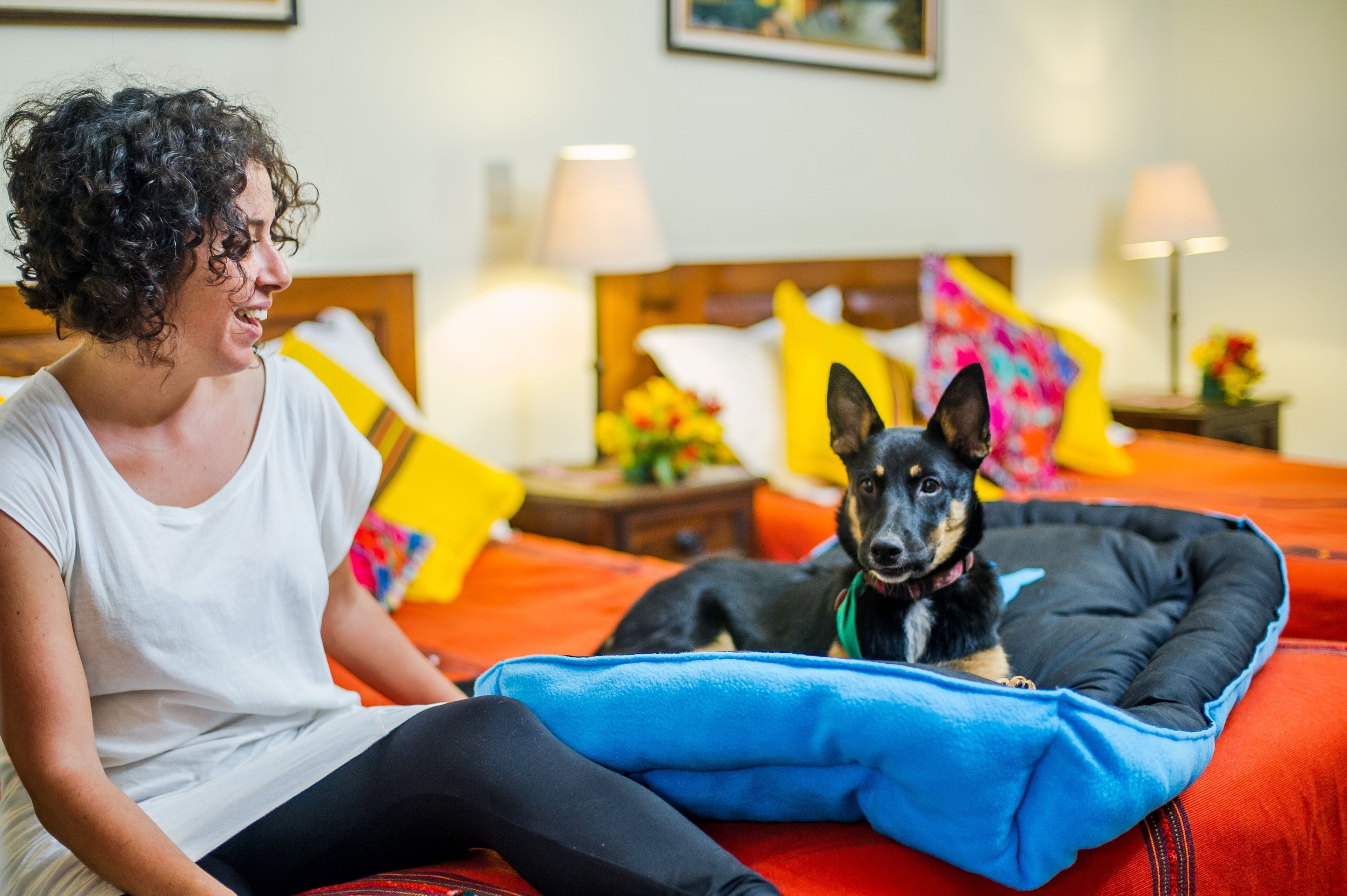 A person sitting on a bed with a dog in a blue pet bed. The room has a wooden headboard, colorful pillows, and a nightstand with a lamp.
