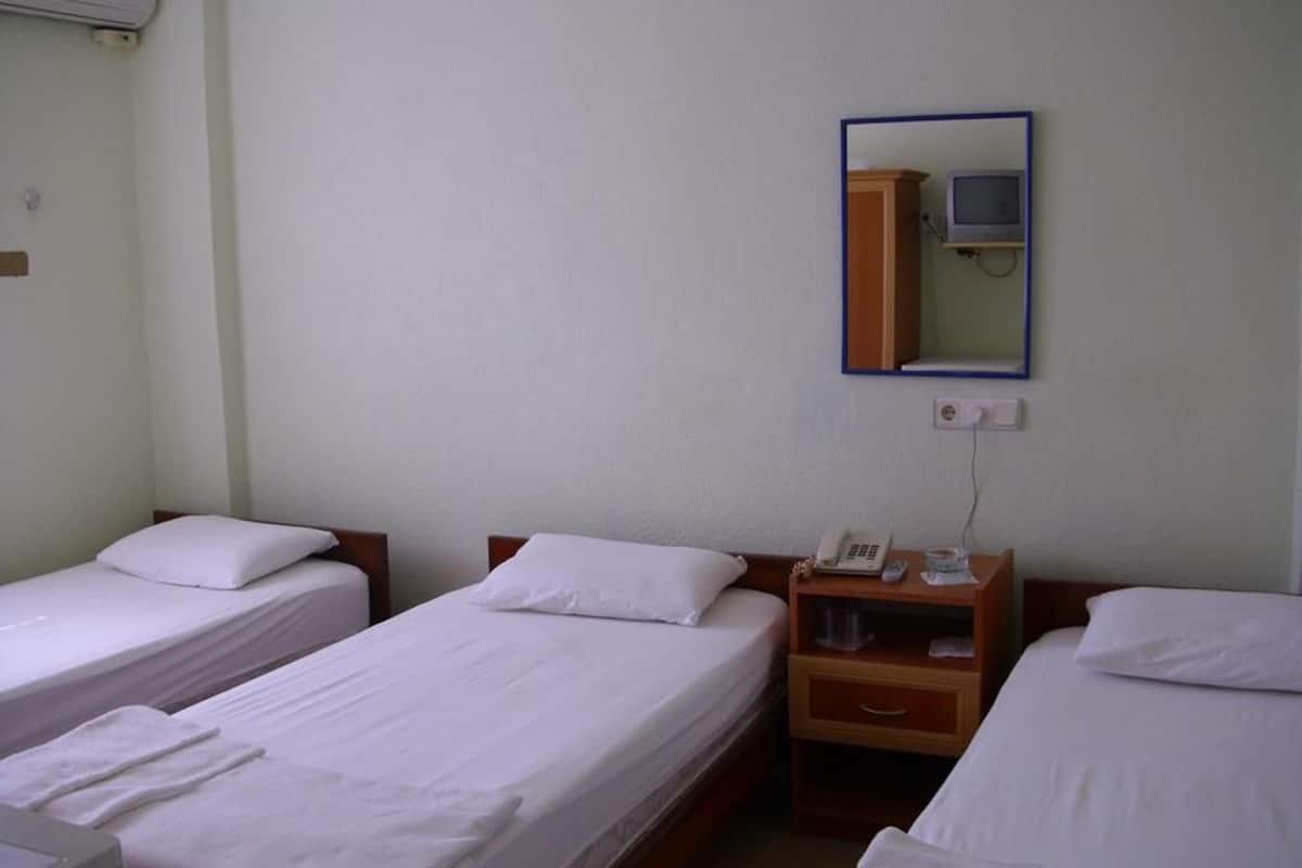 Standard Triple Room | In-room safe, iron/ironing board, free WiFi