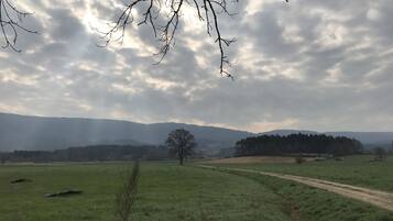 A rural landscape with a dirt path, a solitary tree, and distant hills under a cloudy sky.