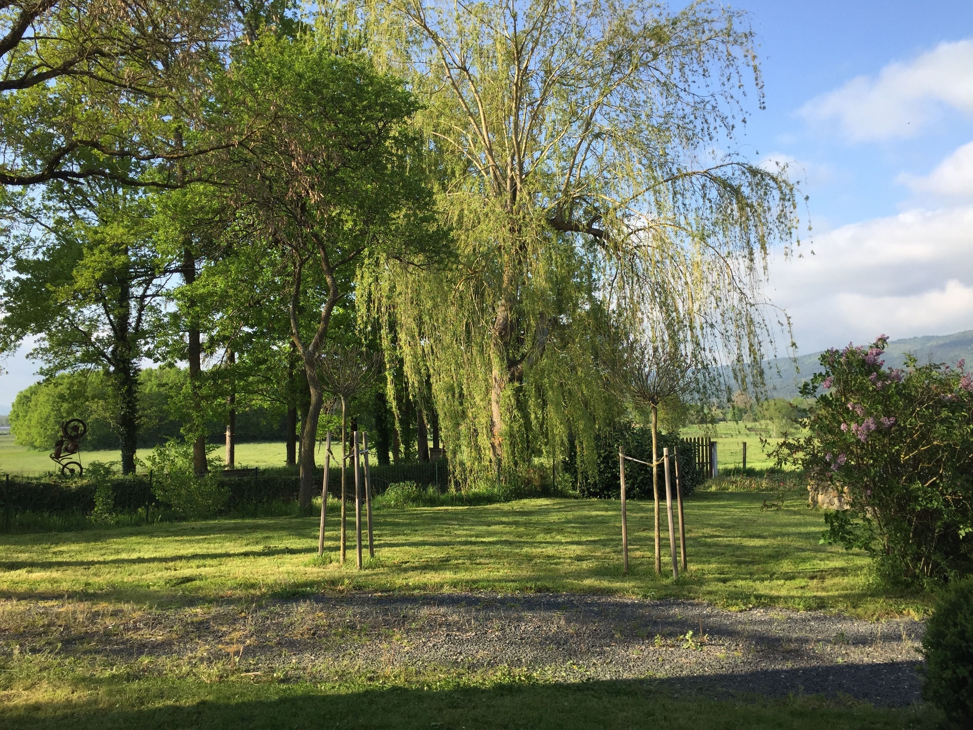 Un parc paisible, avec de grands arbres, un sentier de gravier et une zone délimitée par une clôture.