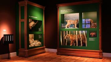 Duas vitrines com exposições de animais, incluindo um tigre, um lince e um leopardo das neves.