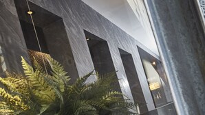 Ein modernes Interieur mit einer großen Topfpflanze, dunklen Wänden und einer Glaswand.