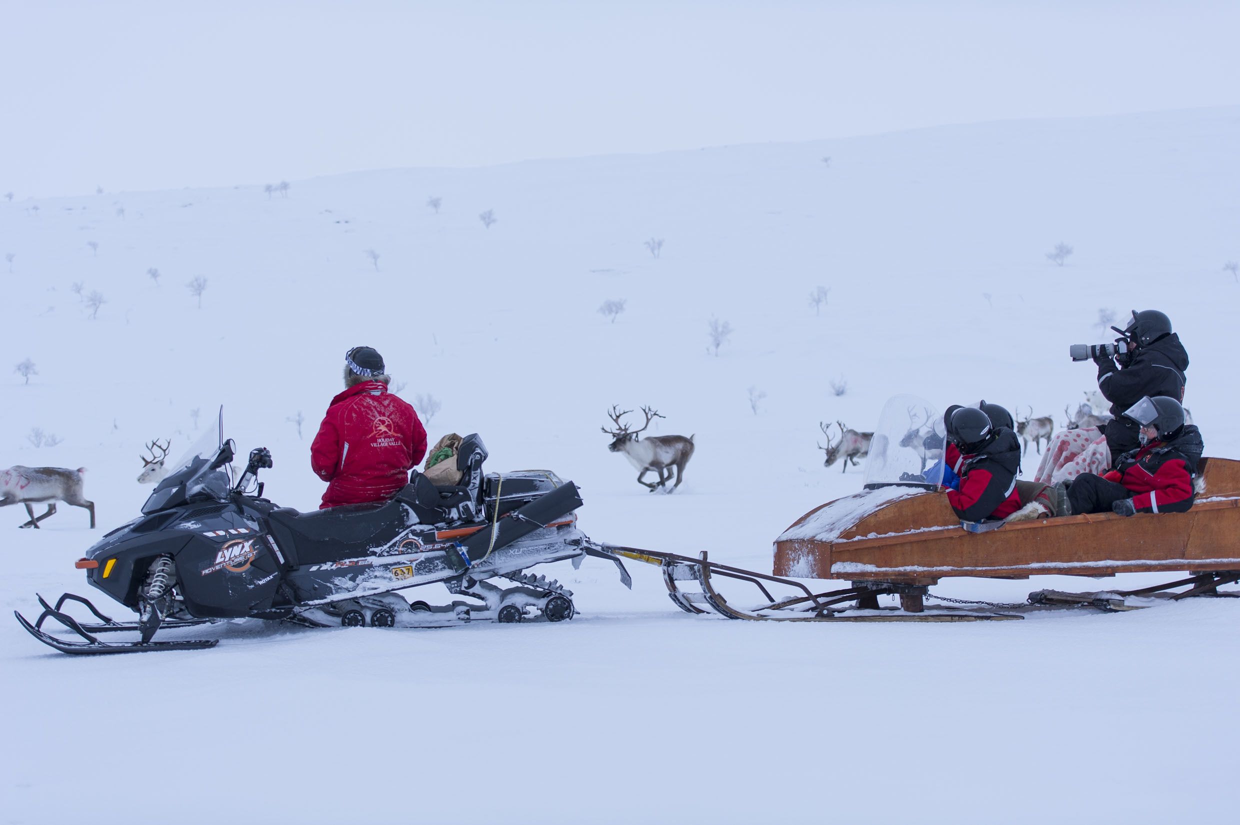 A snowmobile and a sled with people and reindeer in a snowy landscape.