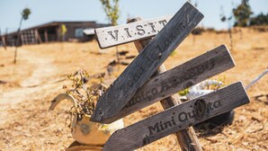 A wooden sign with directional arrows pointing to different locations. - Hotel Rural Senhora De Pereiras (Vimioso)