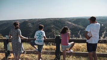 Game drive