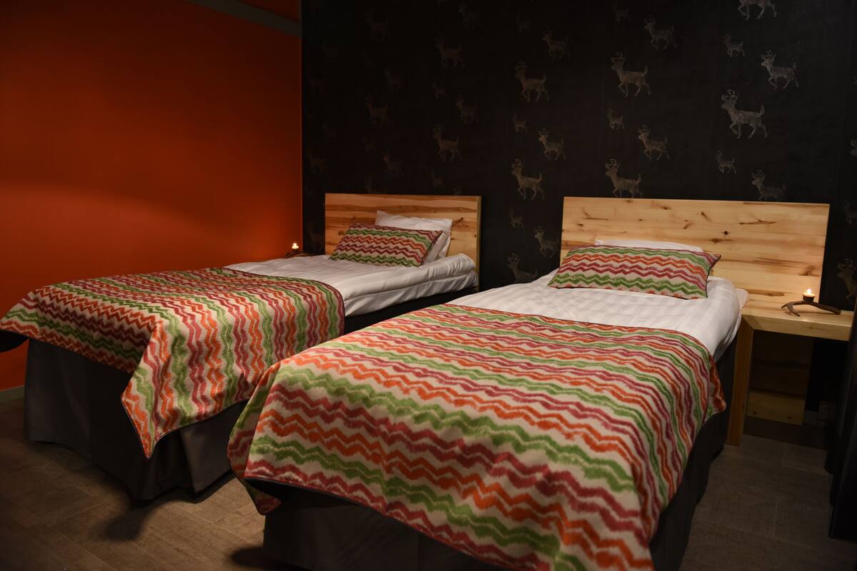 double room | desk, free wired internet, bed sheets