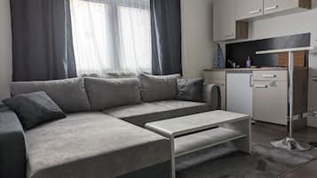Standard Apartment, 1 Queen Bed with Sofa bed | Living area