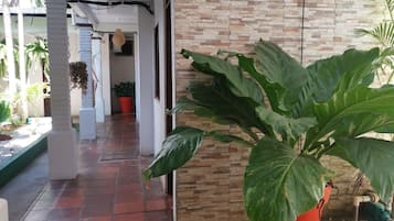 Pemandangan dari properti