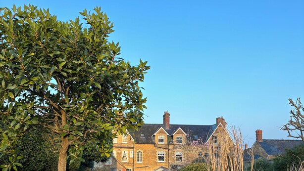 A well-maintained garden with a large tree, a flower bed, and a brick building in the background. - Ellesmere House (Castle Cary)
