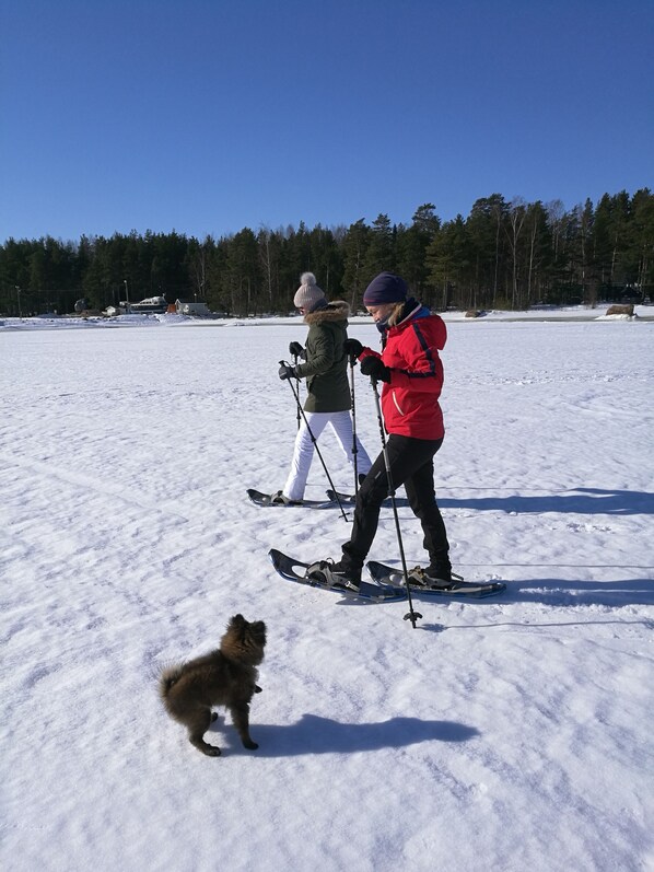 Two people skiing on a snowy field with a dog nearby. - Santalahti Resort (Kotka)