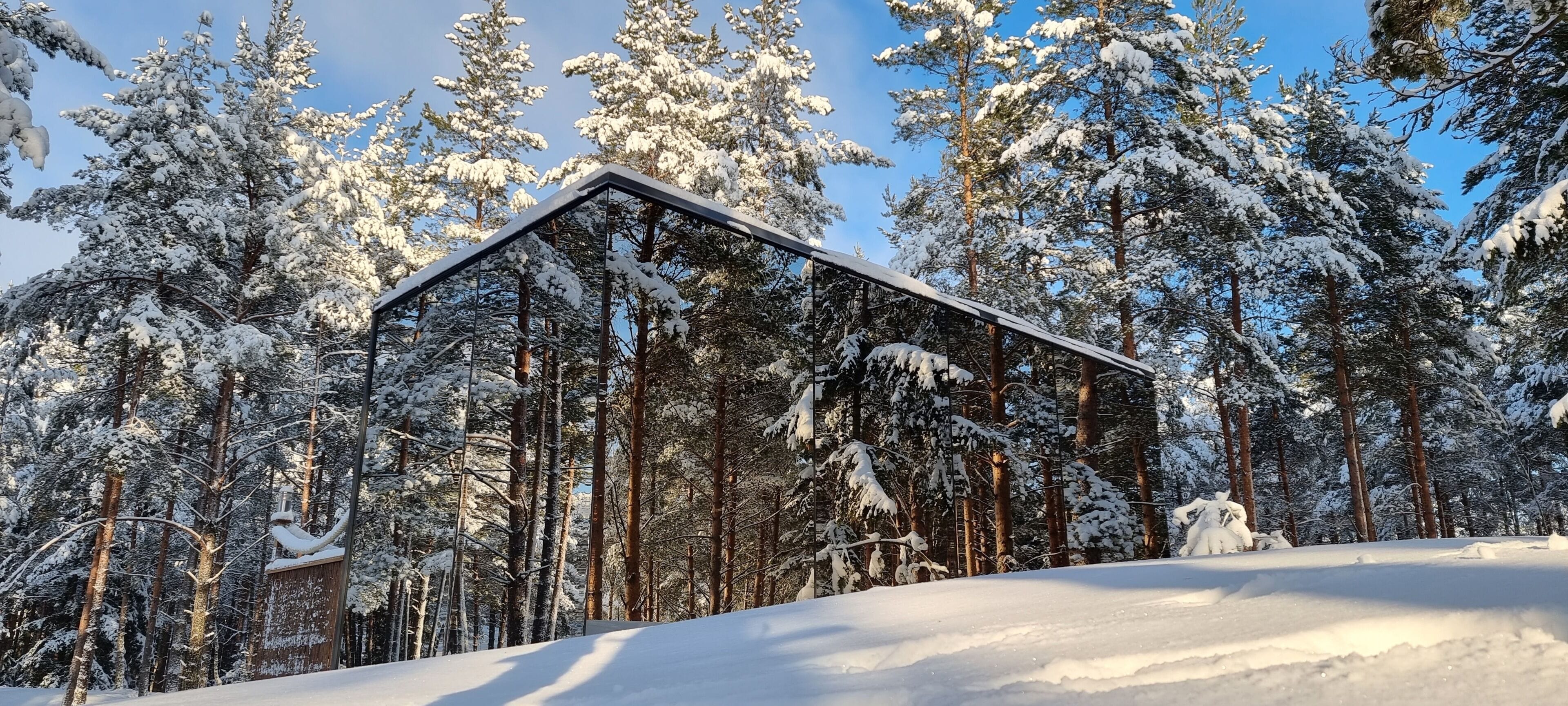A cabin surrounded by snow-covered trees.