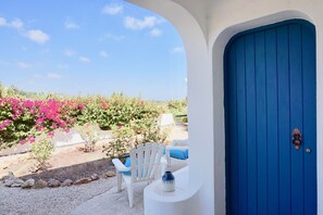 Suite Deluxe | Terraza o patio