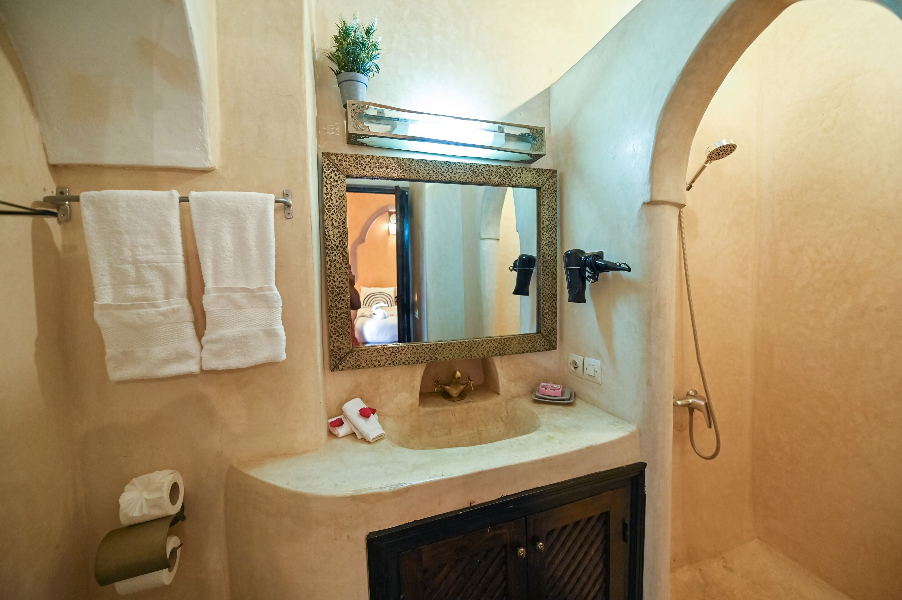 A bathroom with a vanity, a mirror, a towel rack, a shower, and a toilet paper holder.
