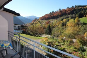 View from property - Gästehaus Steiert (Todtnau)