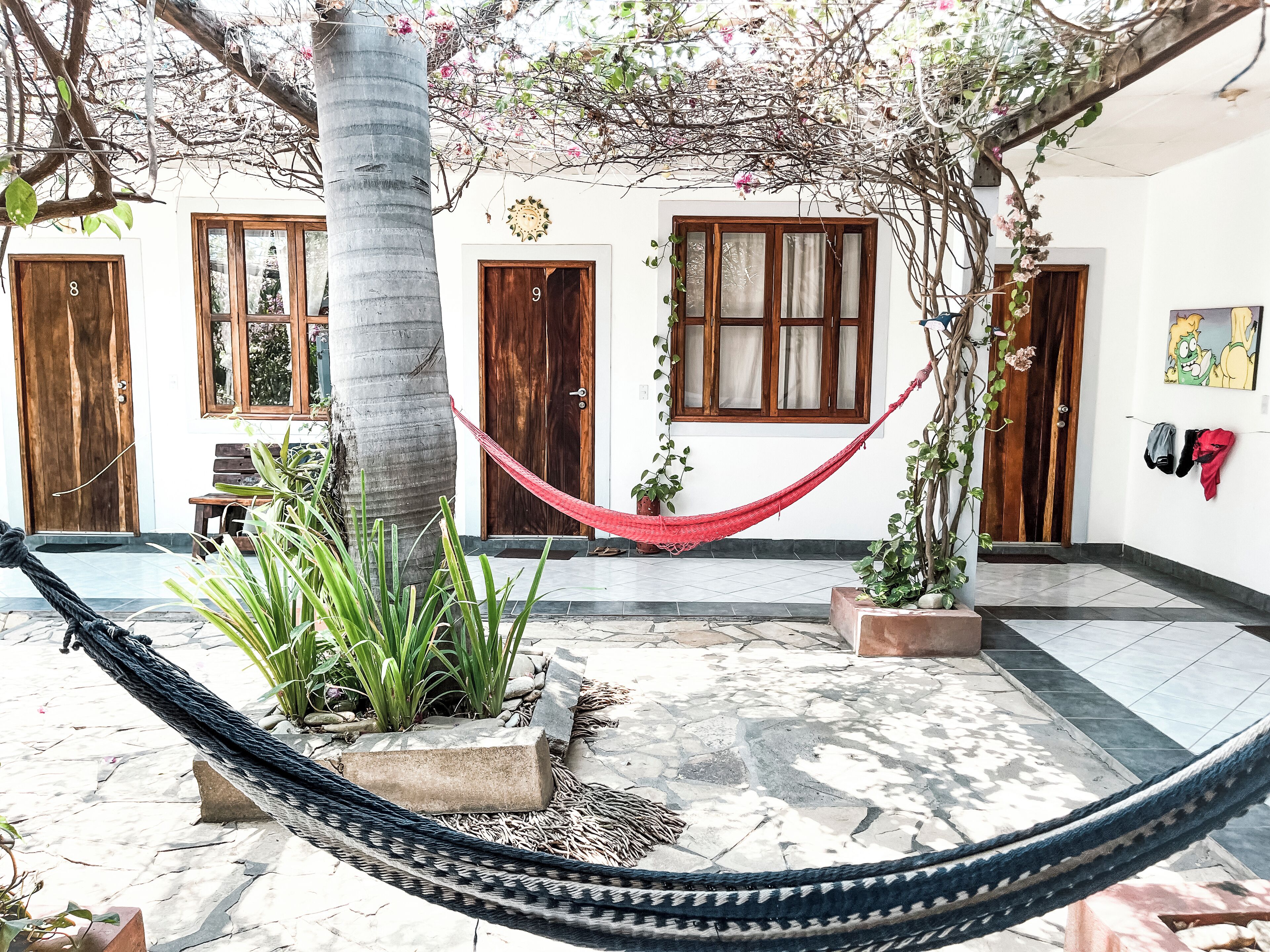 Vista desde la habitación