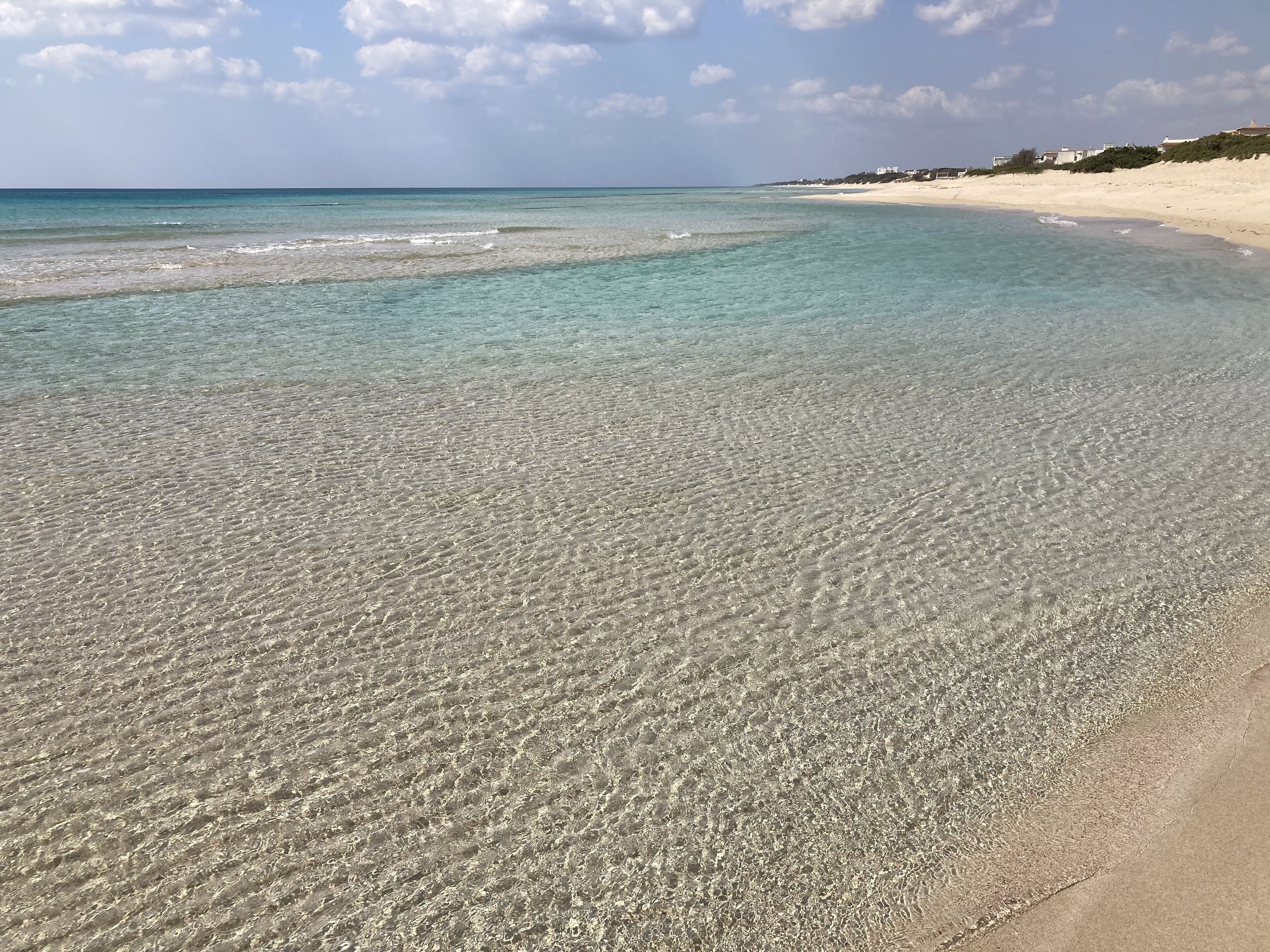 ชายหาด