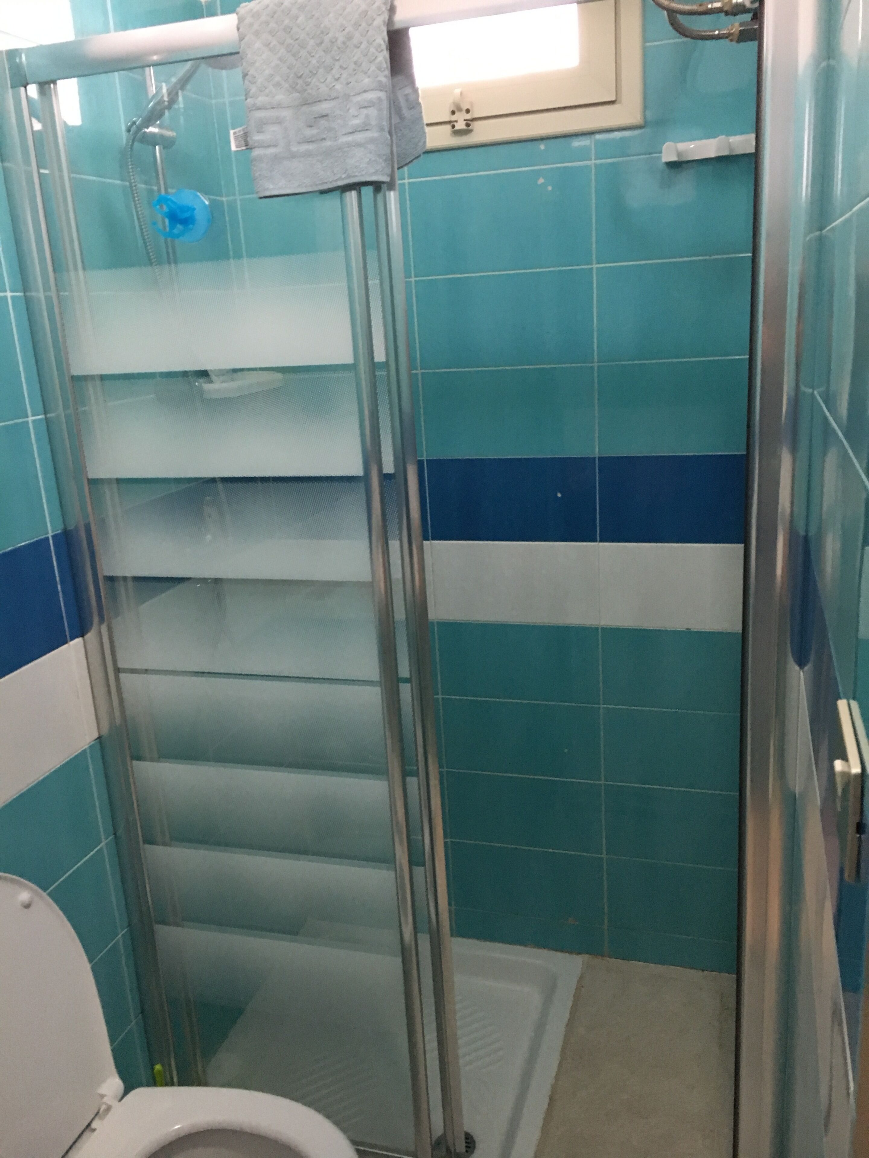 Une salle de bain avec des carreaux bleus et blancs, une douche en verre et un porte-serviettes visible.