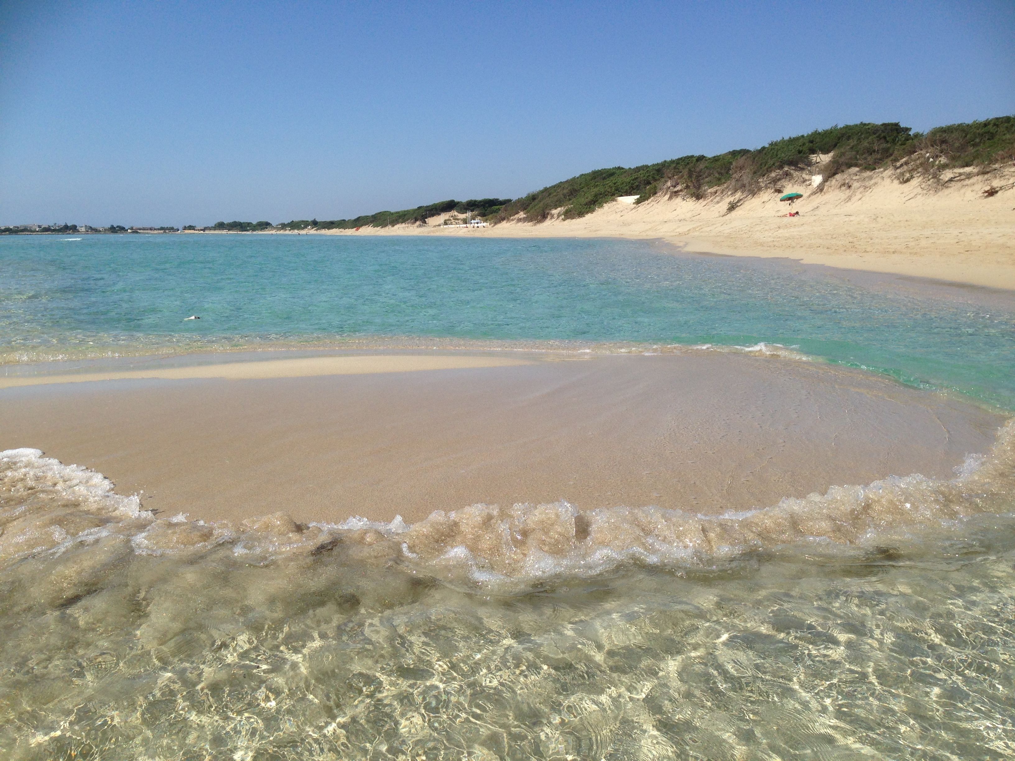 A beach with clear water, sandy shore, and vegetation on the hillside.