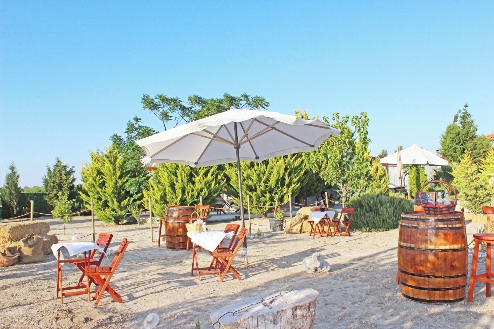 32-inch lcd tv with satellite channels, tv