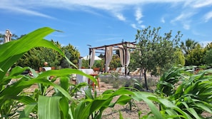 Un jardín con un porche de pérgola, mobiliario exterior y diversas plantas.