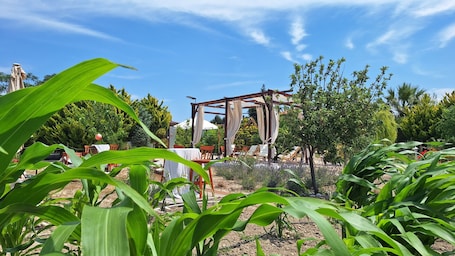 Exterior. Karina Vineyard House