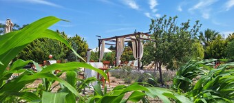 Karina Vineyard House