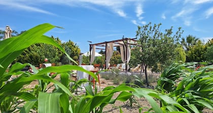 Karina Vineyard House
