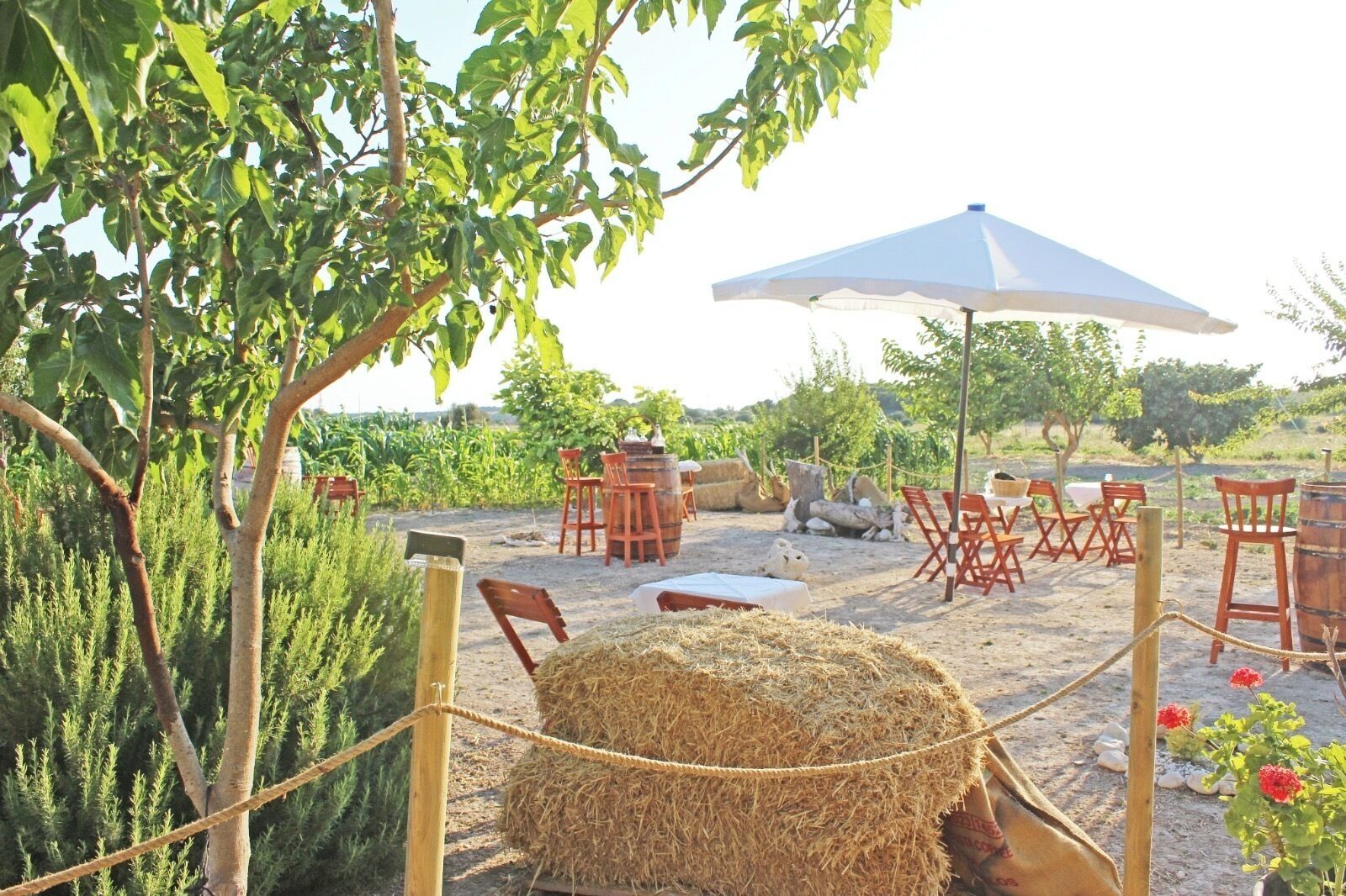 32-inch lcd tv with satellite channels, tv