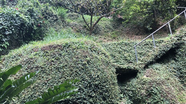Un paisaje exuberante y verde con vegetación densa y una pequeña abertura oscura en el suelo.