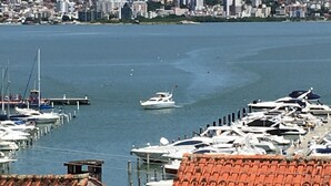 Un puerto deportivo con varias embarcaciones amarradas, un paisaje urbano al fondo y una vista despejada del agua.