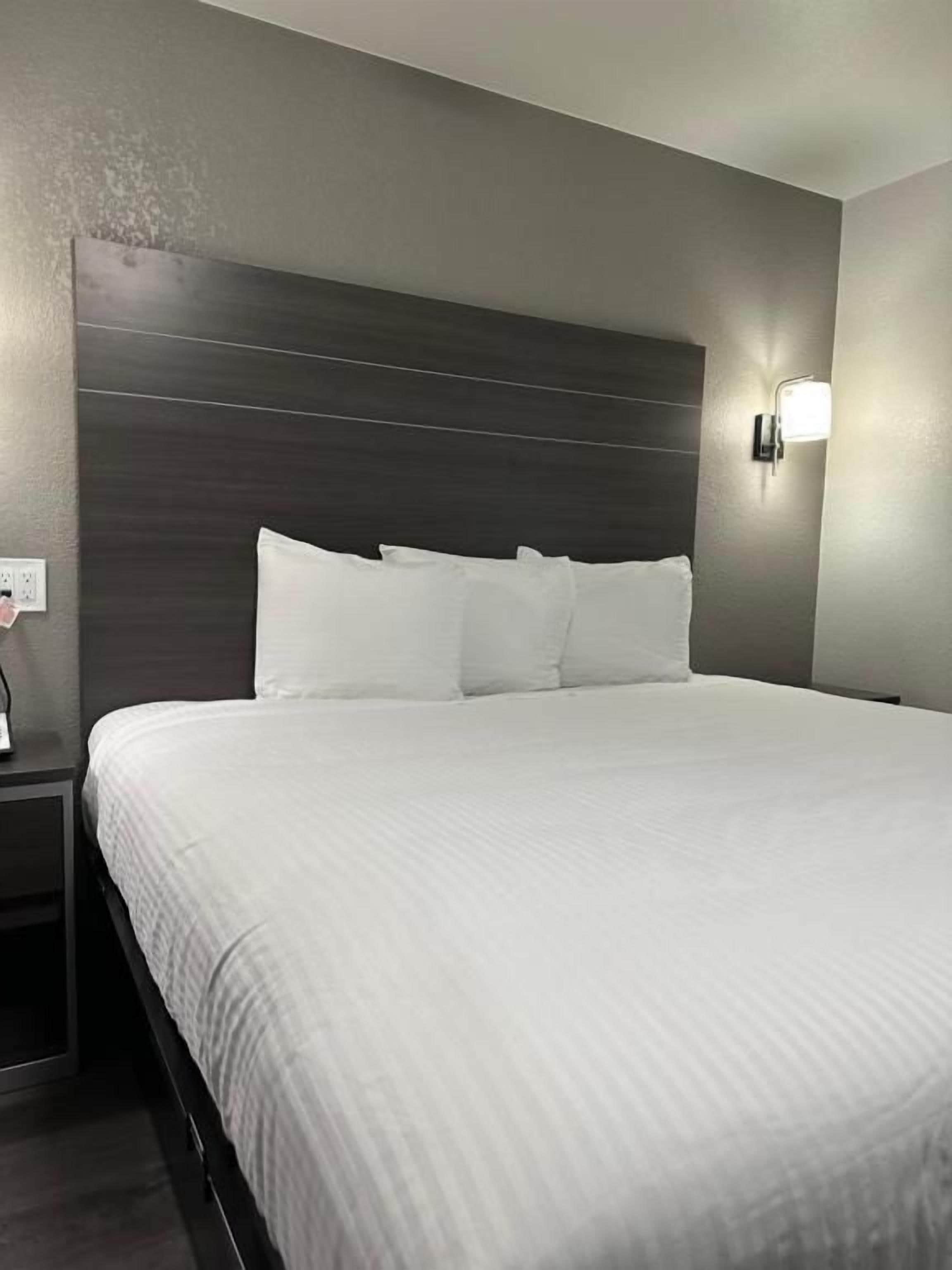 A hotel room with a large bed, a nightstand, a wall-mounted light, and a power outlet.
