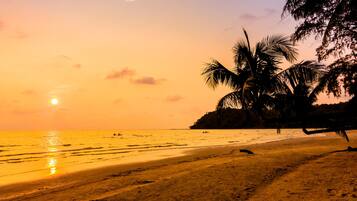 A beach with palm trees and a sunset.