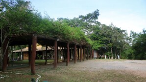 A covered outdoor area with a thatched roof structure, surrounded by trees and a grassy ground. - Hotel Fazenda Rio Formoso (Bonito)
