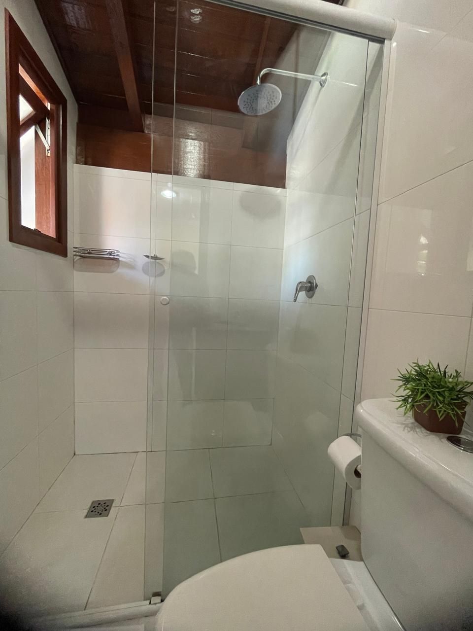 Una ducha con puerta de cristal, un inodoro y una pequeña planta enmacetada sobre el lavamanos.