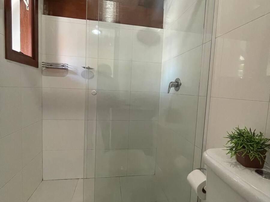 Una ducha con puerta de cristal, un inodoro y una pequeña planta enmacetada sobre el lavamanos.