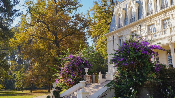 A grand building with a staircase leading to the entrance, surrounded by lush trees and flowering plants.