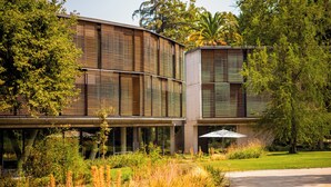 A modern building with a flat roof, large windows, and a well-maintained garden with various plants and a pathway.