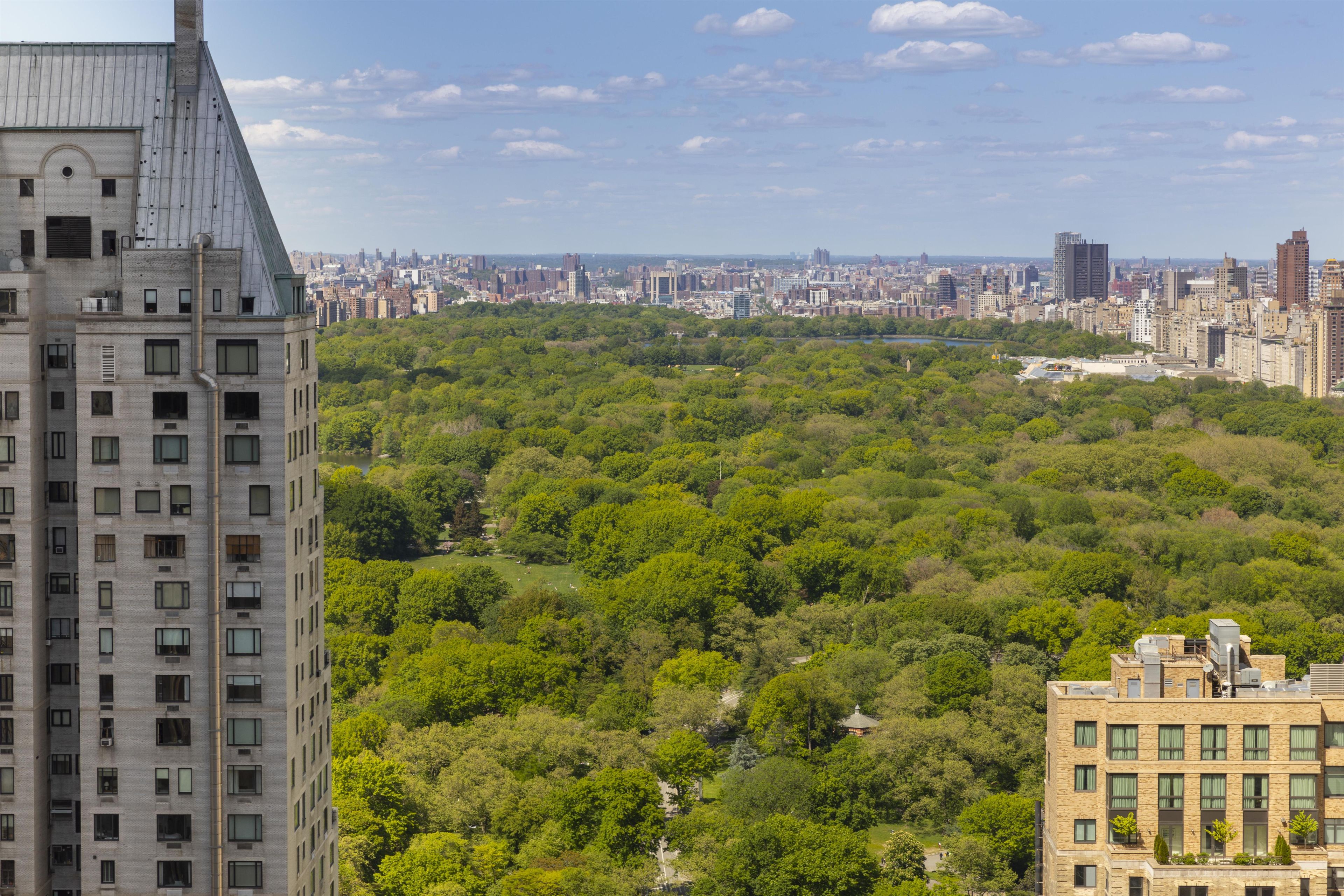 A high-rise building with a view of a densely wooded park and a cityscape in the distance.