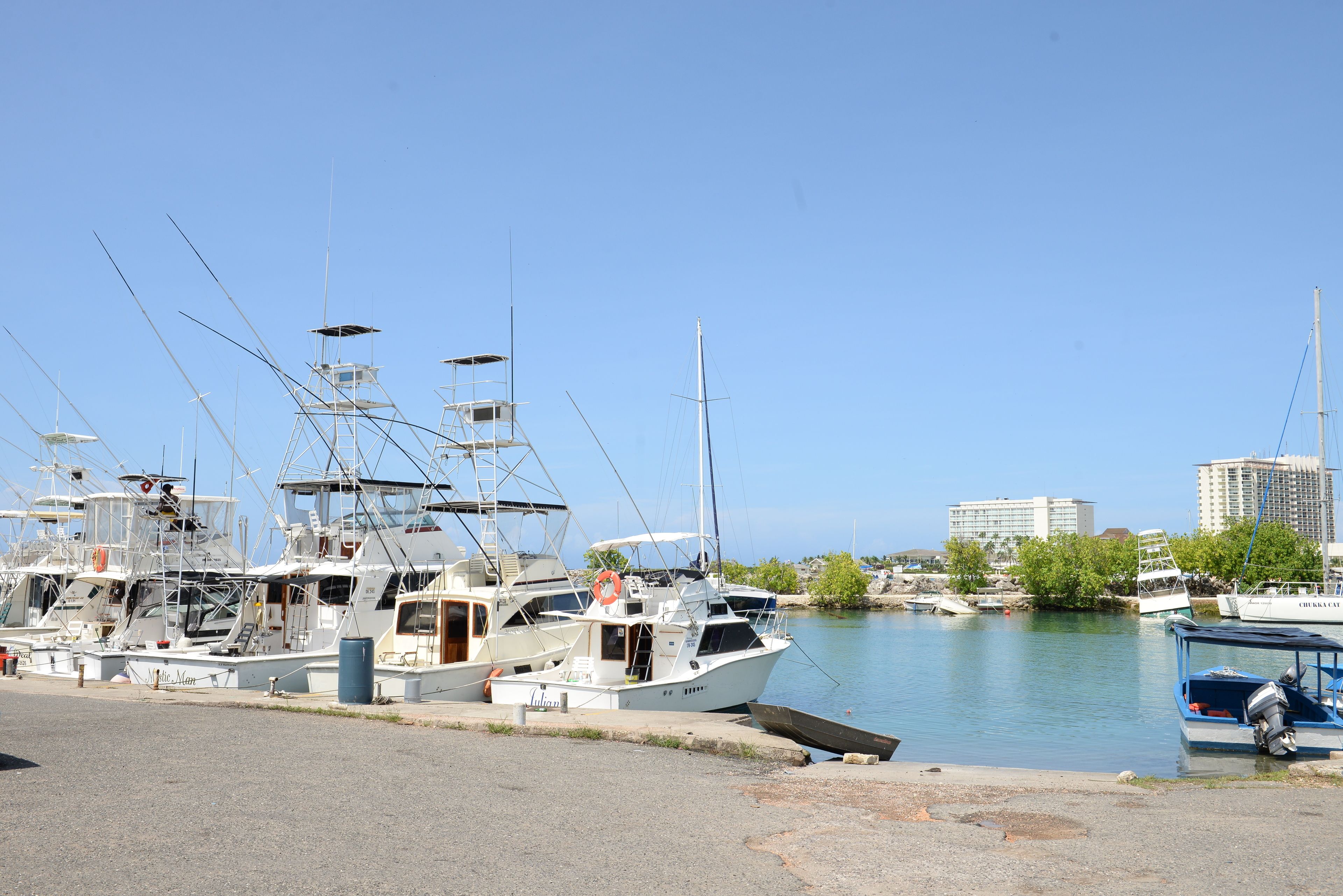 A marina with several boats docked, a clear sky, and buildings in the background.