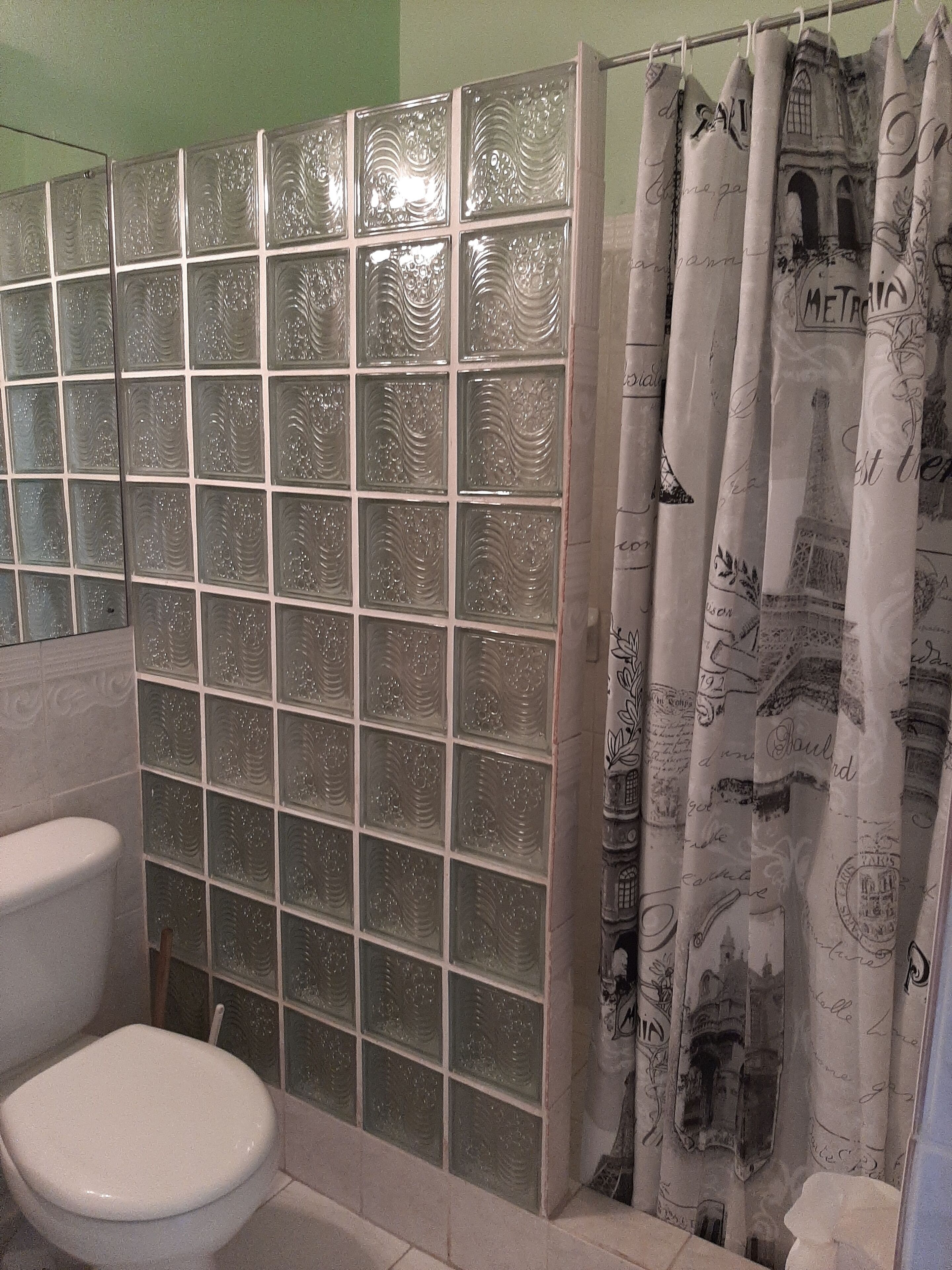 A bathroom with a glass block partition, a white toilet, and a shower curtain with printed designs.